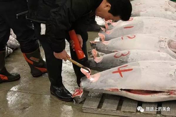 这里每天会拍出上千条的金枪鱼pg电子游戏网站日本料理心脏(图3) 这里每天会拍出上千条的金枪鱼pg电子游戏网站日本料理心脏(图3)