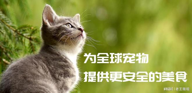 有限公司：宠物食品领域的稳健探索者pg电子模拟器电脑版汉欧生物科技