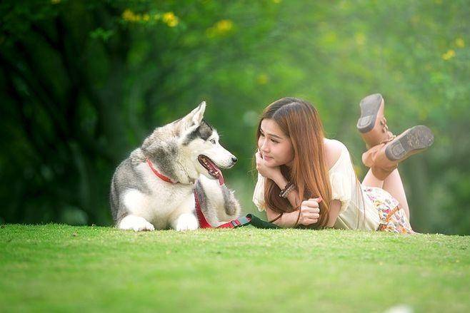 业链分析：现状、痛点、需求、趋势pg电子模拟器试玩宠物食品行业产(图2)