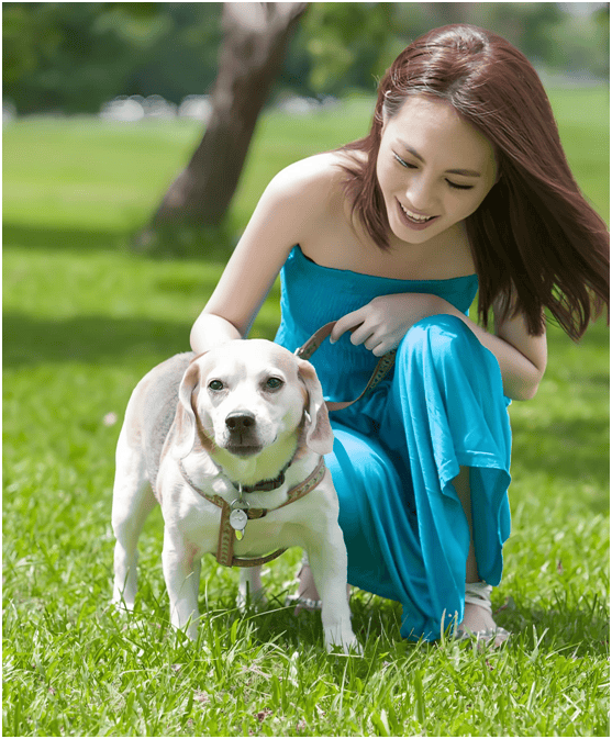 业链分析：现状、痛点、需求、趋势pg电子模拟器试玩宠物食品行业产(图3)
