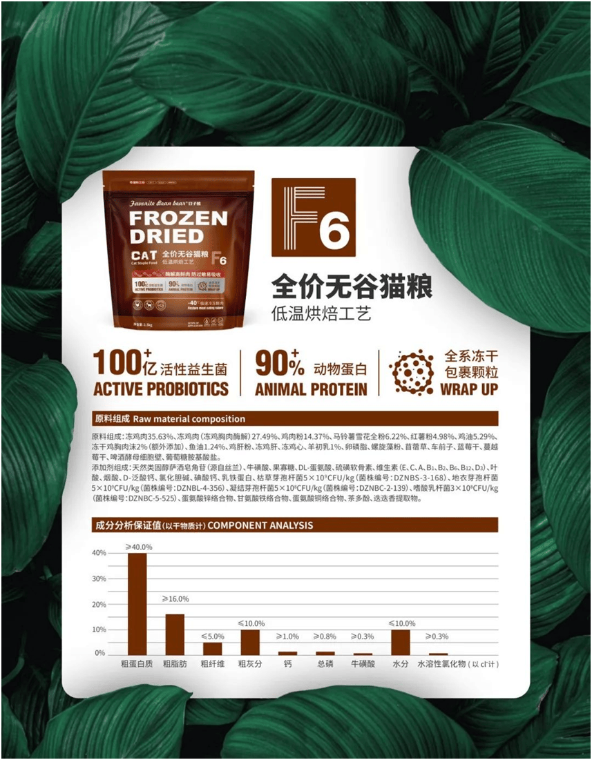 物食品品牌上新不断上心永远pg电子免费模拟器豆子熊宠(图5)