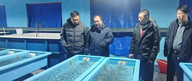 业与大连三文渔业合作共同推进三文鱼产业pg电子模拟器试玩山东烟台经海海洋渔